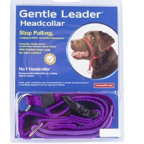 Padded gentle clearance leader