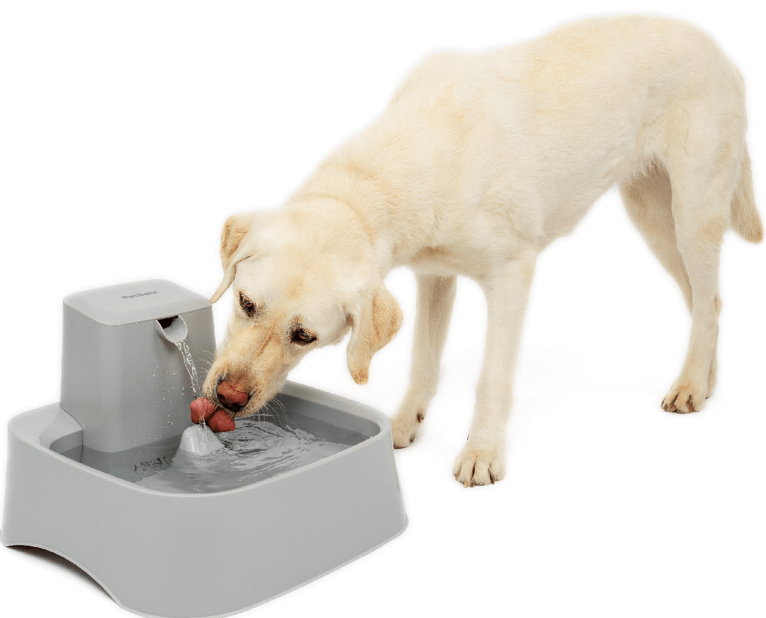 Drinkwell Pet Fountain 7.5L