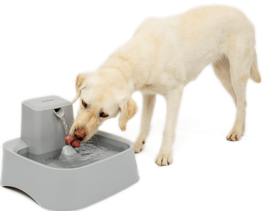 Drinkwell Pet Fountain 7.5L