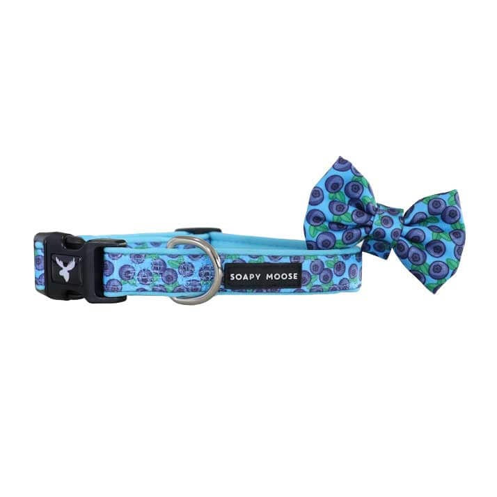 Soapy Moose Collar Blue Berries Xs